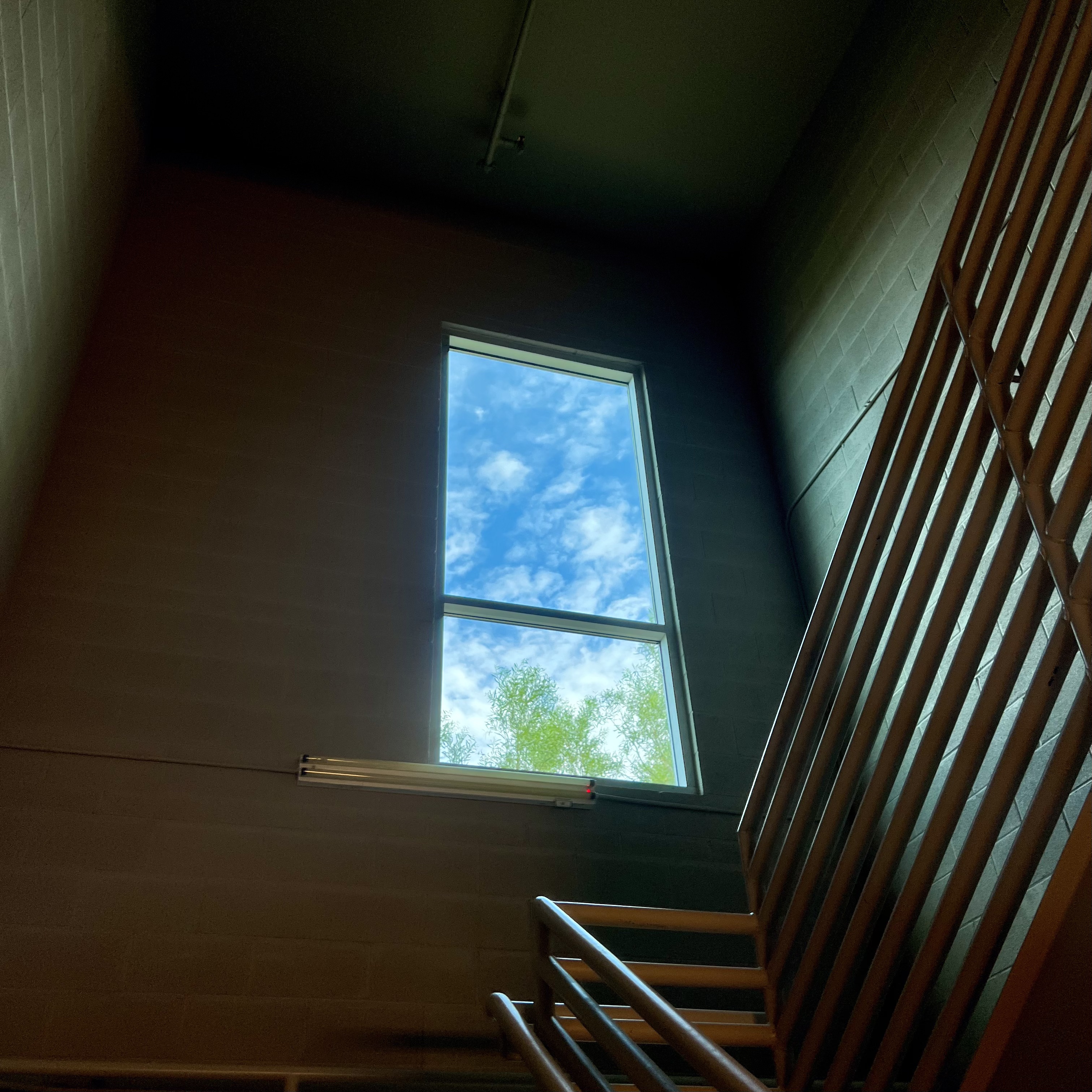 Artwork accompanying The Intake